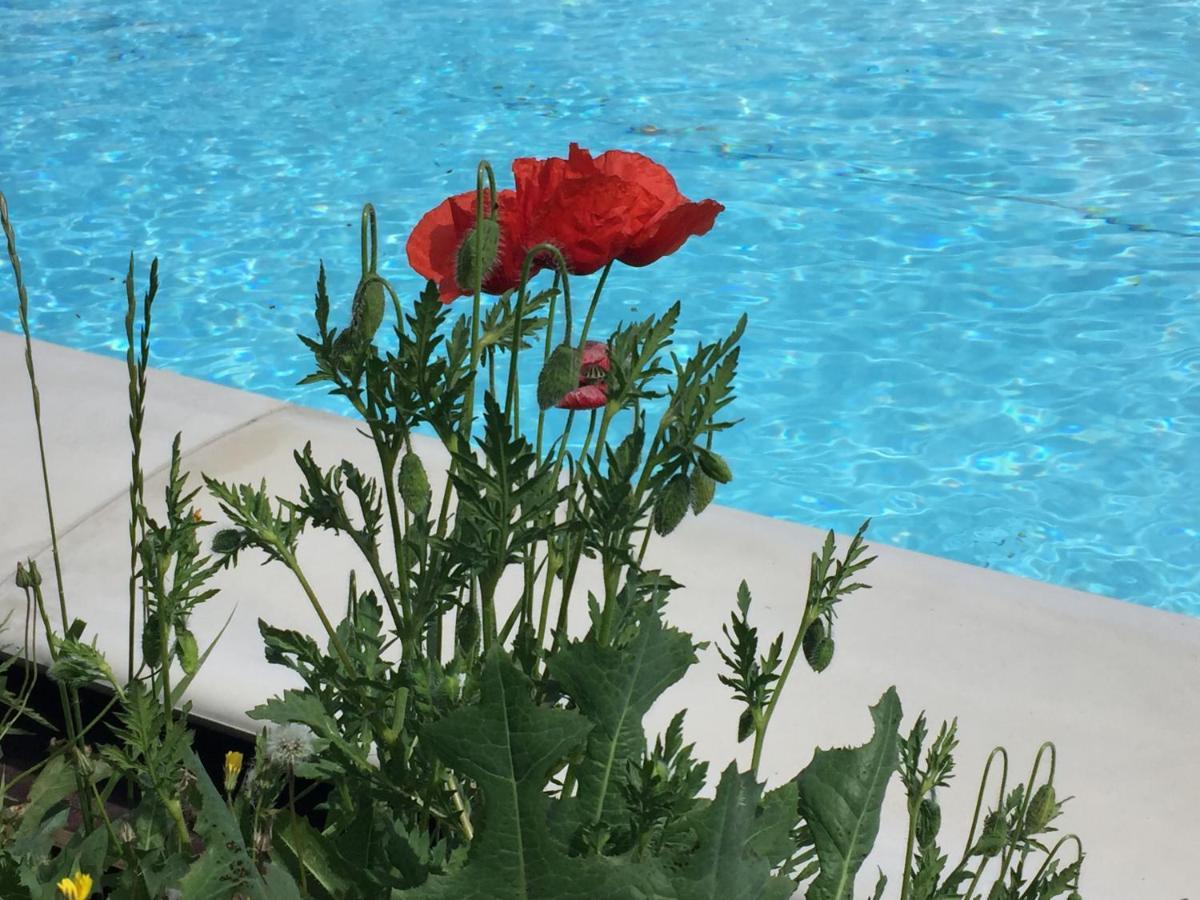 Nido D'Amore Dernice Bagian luar foto