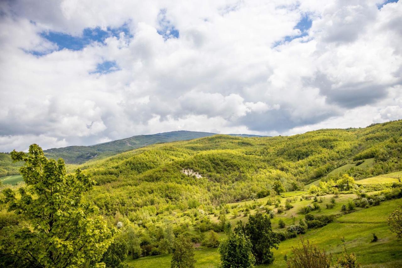Nido D'Amore Dernice Bagian luar foto